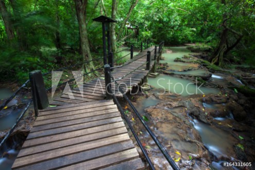 Picture of Walkway wooden for study in nature rainforest on national park at Thailand